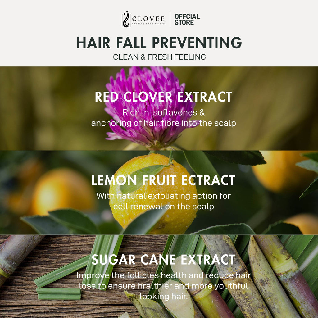 CLOVEE Anti-Hair Loss Shampoo 2BTL